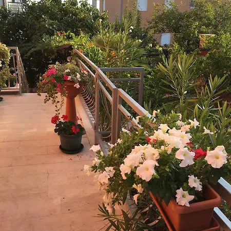 Apartment Bozena *