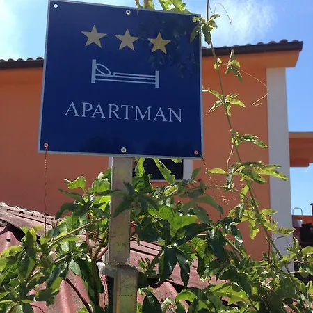 Bozena * Krk Town